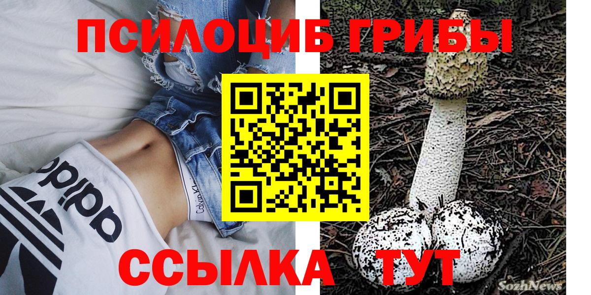 Галлюциногенные грибы Magic Shrooms Прохладный