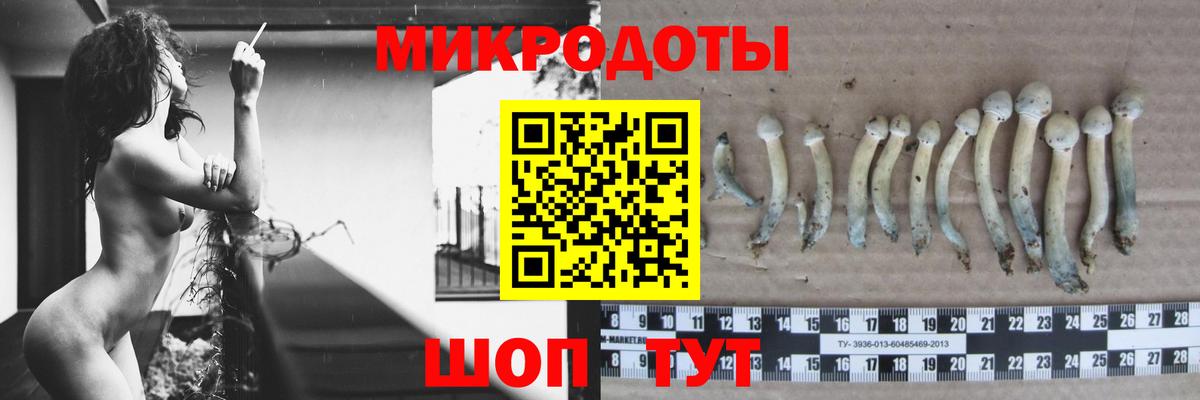 Псилоцибиновые грибы мицелий  Вход с VPN  Прохладный  Галлюциногенные грибы мицелий 